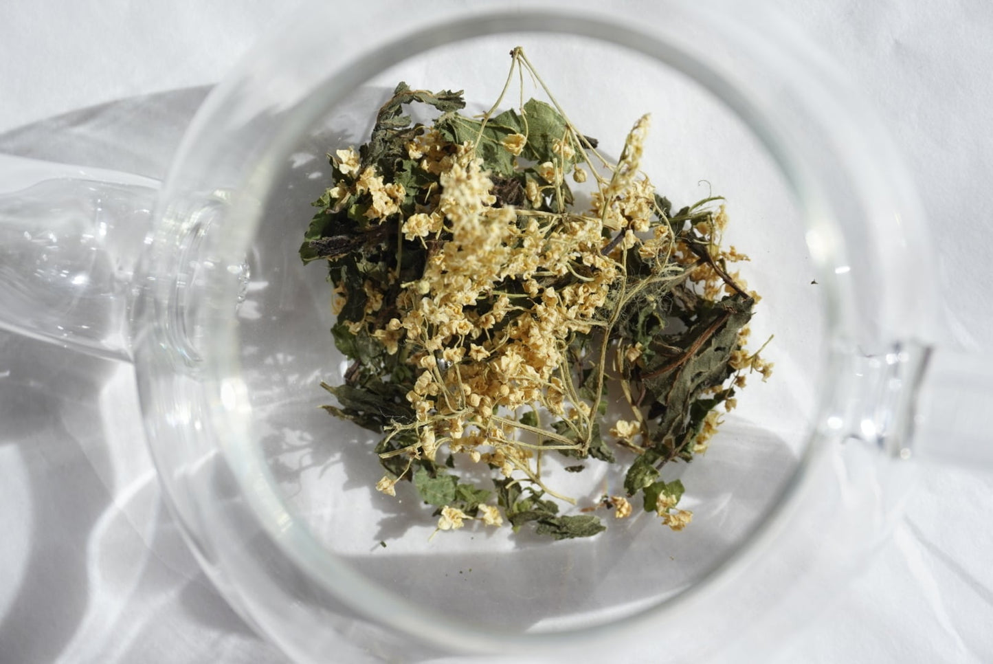 めざめのお茶