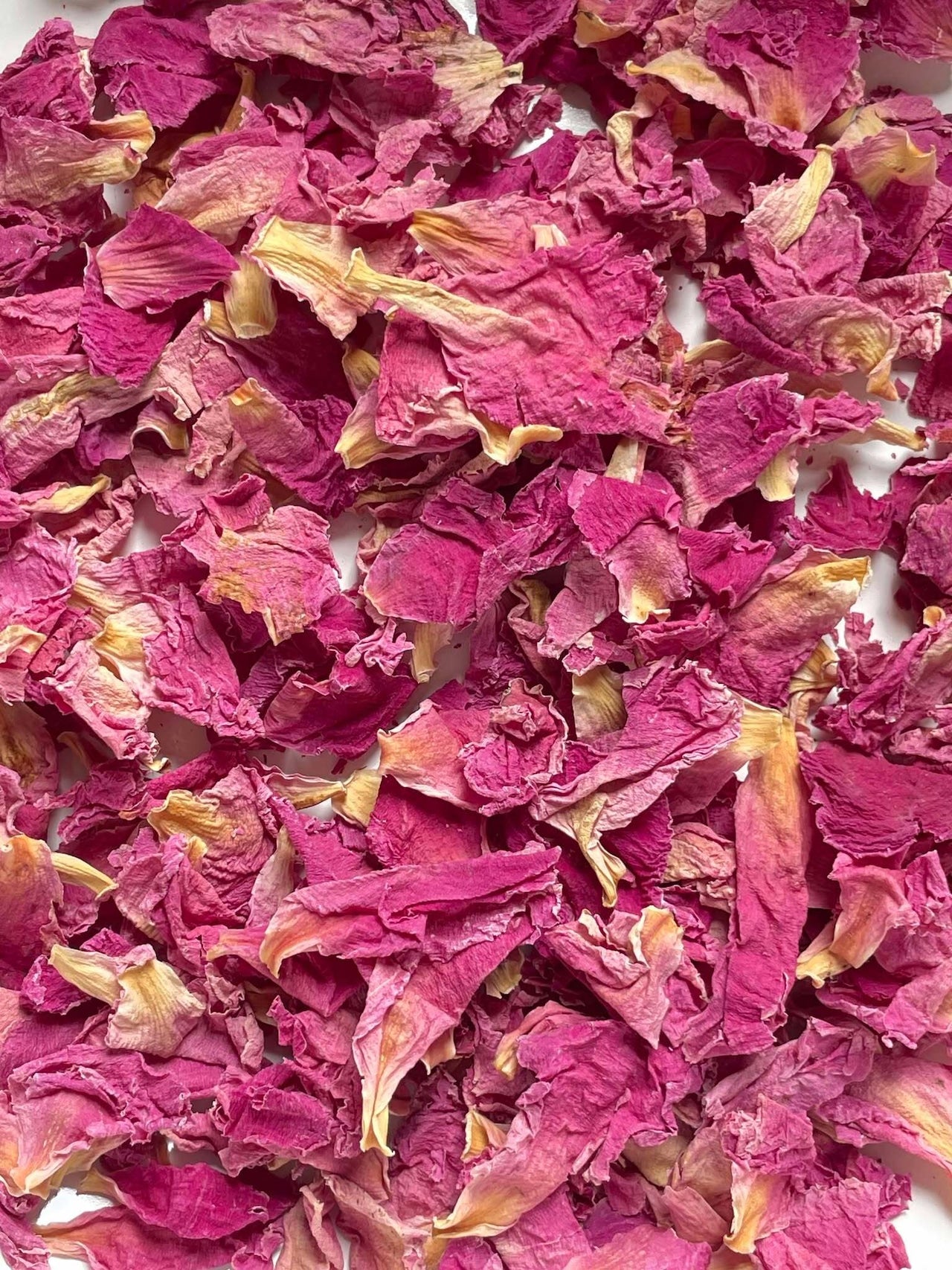 芍薬（ピオニー）