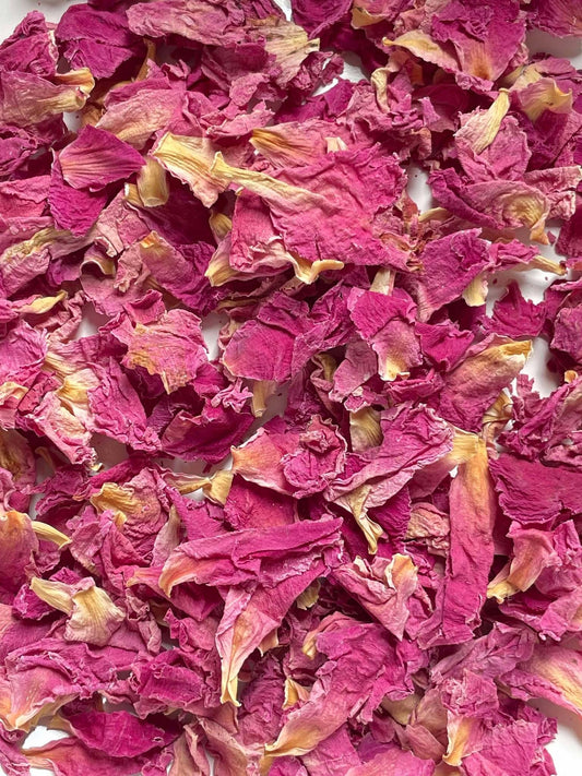 芍薬（ピオニー）